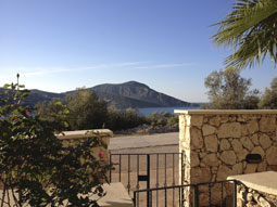 View from garden