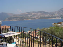 Roof Terrace View