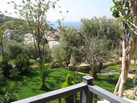 Gardens & view