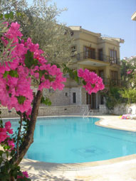 Shared pool