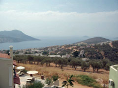 Roof view