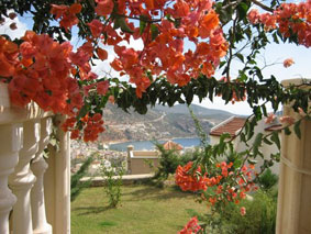 View from Garden gate